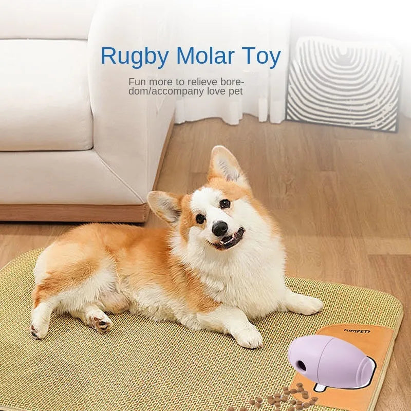 Coloured silicone rugby ball dog chew toy with treat-dispensing holes in blue, pink, purple options