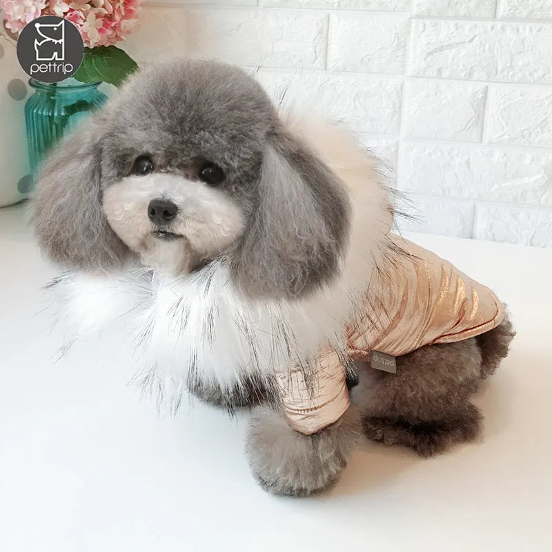Gold padded cotton dog winter coat for small to large dogs sizes S to 3XL