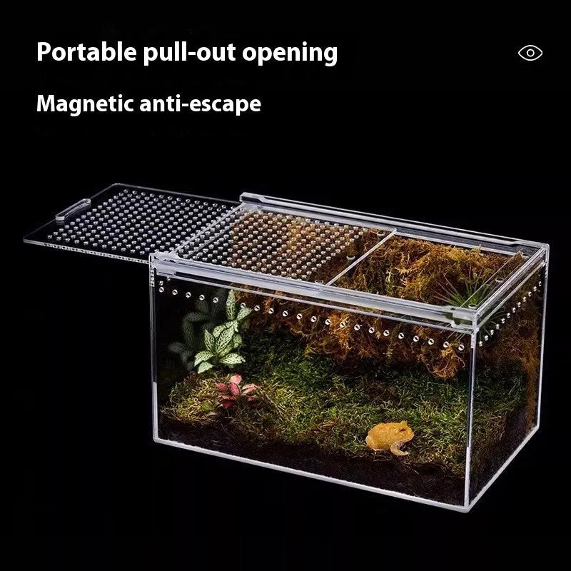 Clear acrylic reptile feeding box showing dimensions for small, medium, large, extra large, and arboreal sizes.