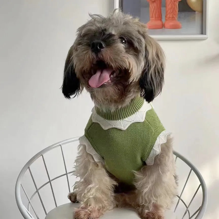 Green flower blossom dog sweater on a small pet showing detailed sizing options