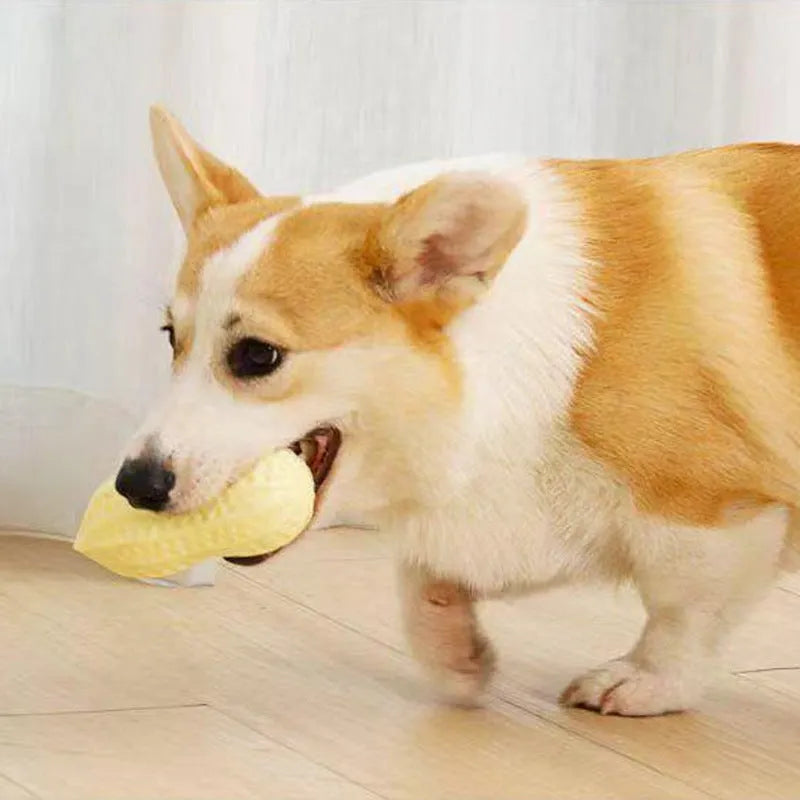Yellow peanut-shaped dog chew toy with textured shell for teeth cleaning