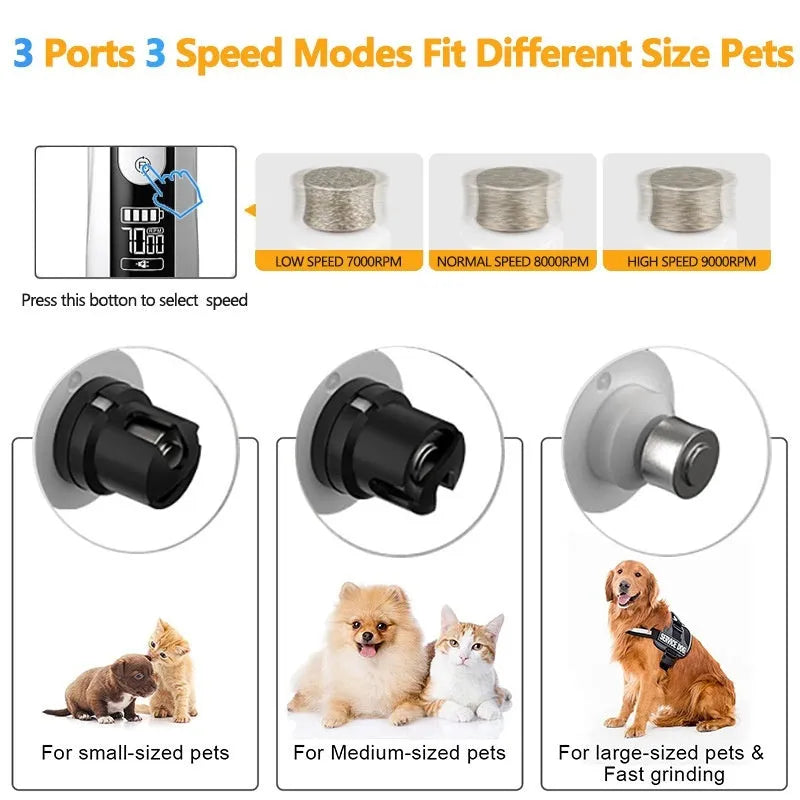 Electric dog nail trimmer with LED display showing speed settings on a grey background.