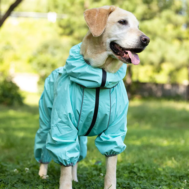 Red dog shell jacket with cotton padding, shown on a model dog.