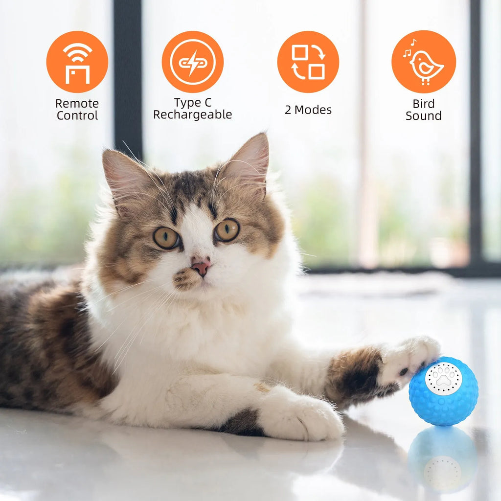 Blue electronic cat ball toy with remote control on a wooden floor.