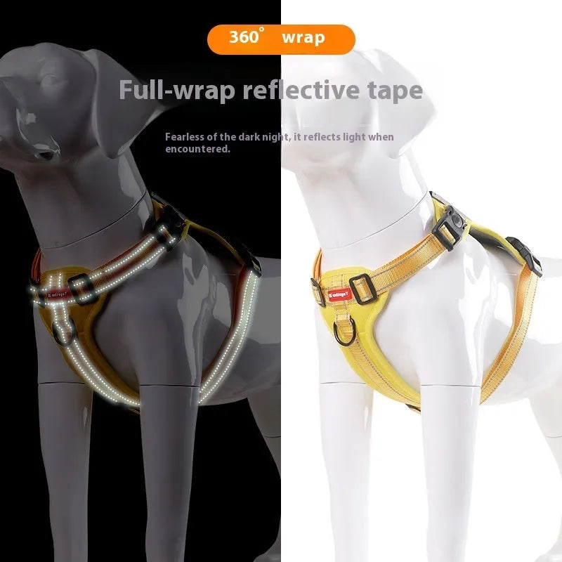 A polyester dog chest harness and matching leash set shown in a choice of colours.