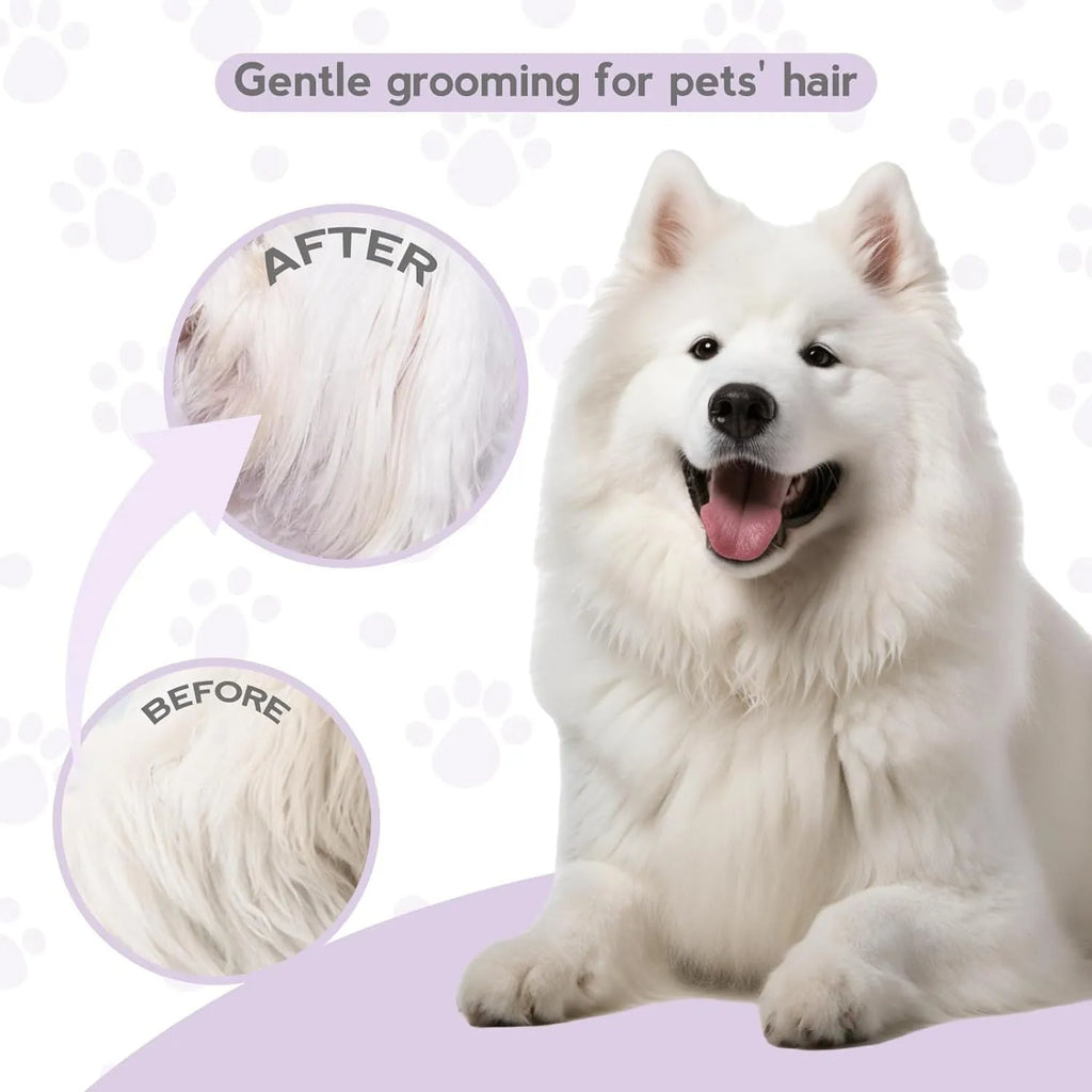 Purple pet detangling comb with stainless steel teeth and ergonomic handle on white background.