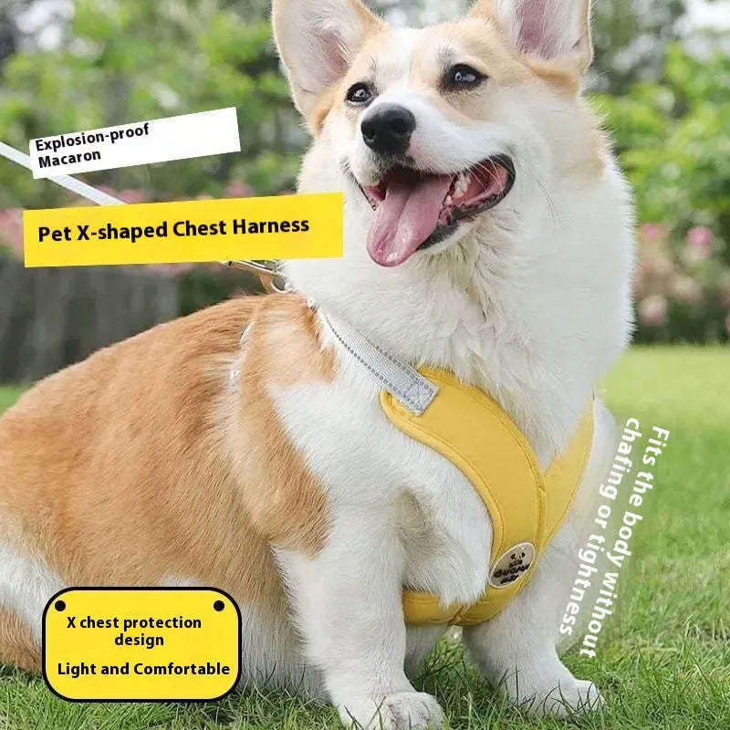 Polyester dog vest with attached hand holding rope in blue, green, pink, or yellow.