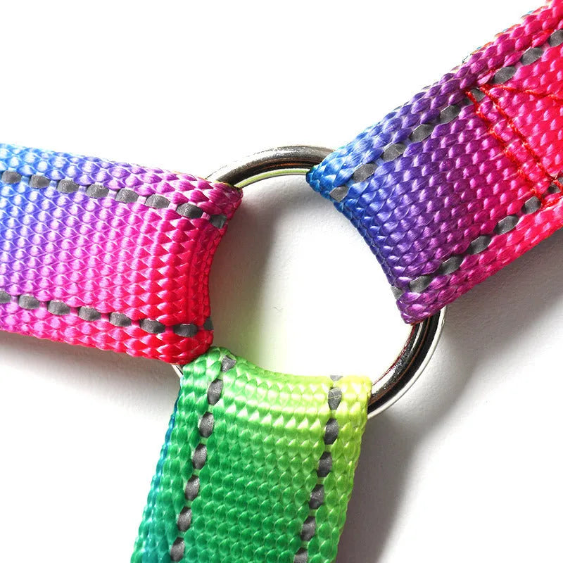 Colourful reflective three-piece dog set with chest and back cover, collar and rope lead in sizes L M S