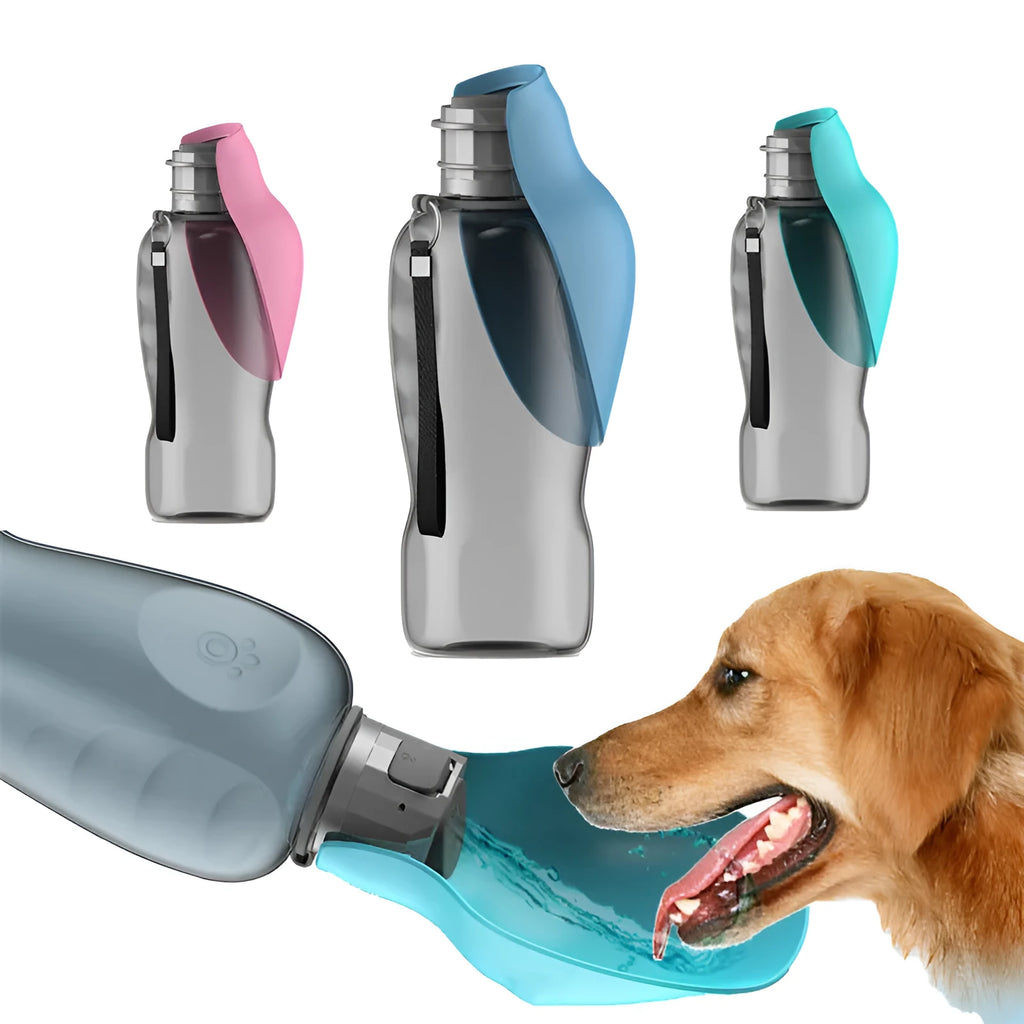 800ml portable dog water bottle with blue foldable drinking bowl and wrist strap