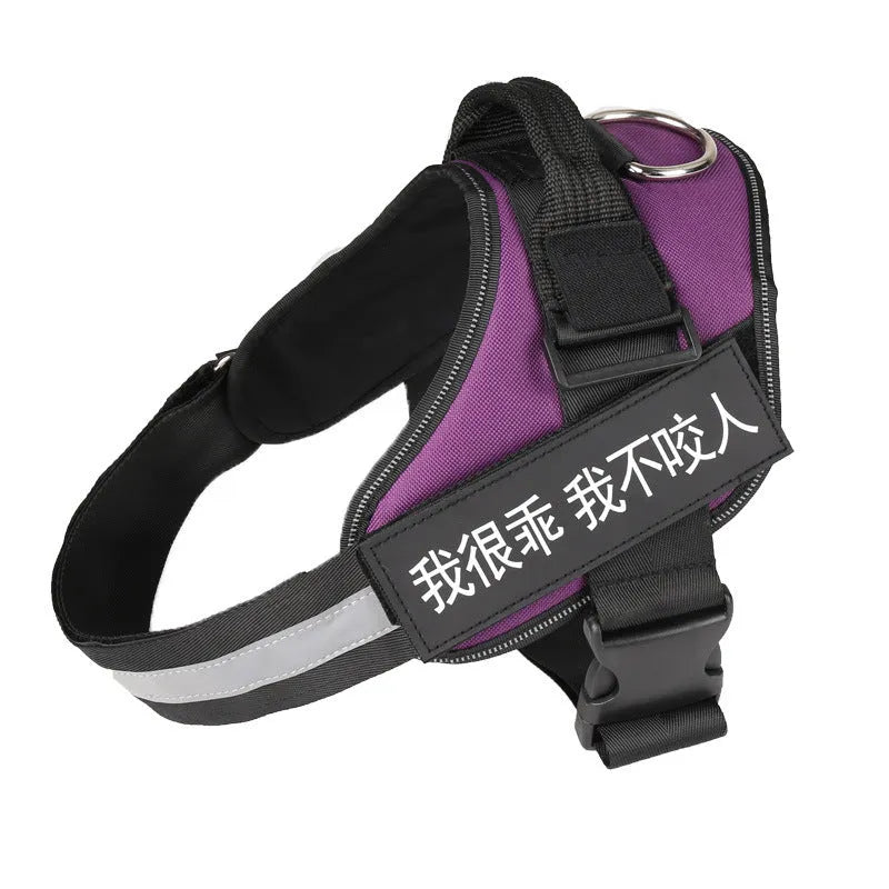 Fashion Simple Pet Leash Chest Strap Set in Black with adjustable sizing from XS to XXL for dogs