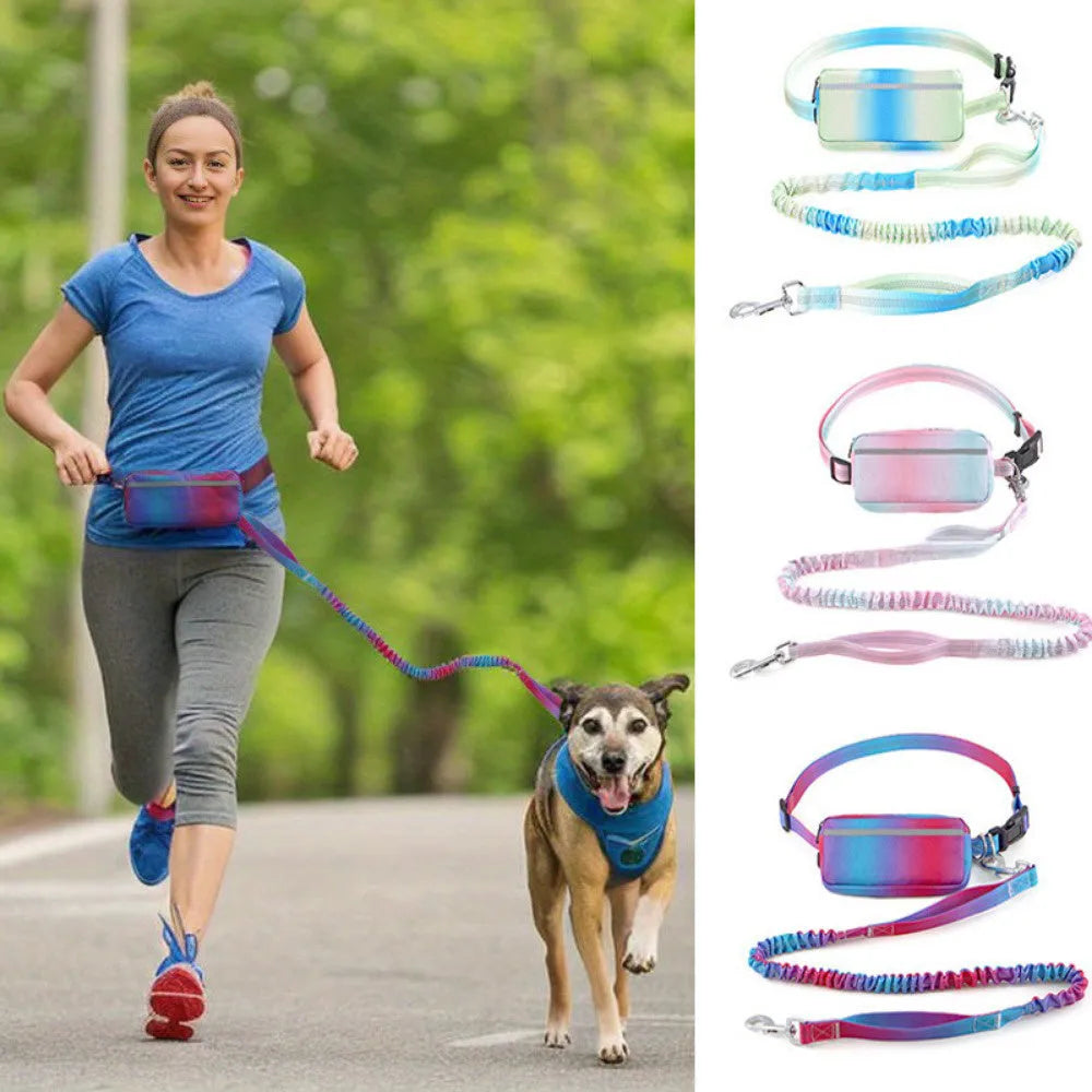 Hands-free adjustable dog leash with waist belt showing blue polyester traction rope with reflective stitching