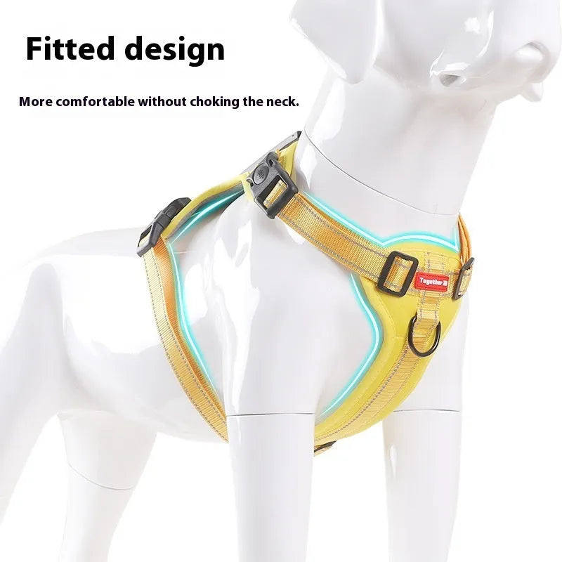 A polyester dog chest harness and matching leash set shown in a choice of colours.