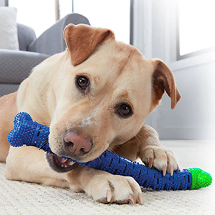 Blue silicone dog dental cleaner stick with serrated brush head and massage nodules, 25cm length