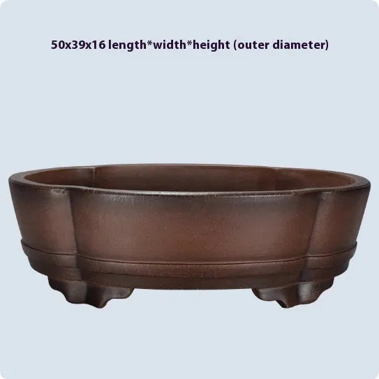 Classical purple clay flower pot with green plant bonsai design measuring 50cm for floor or tabletop display
