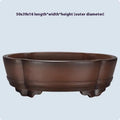 Classical purple clay flower pot with green plant bonsai design measuring 50cm for floor or tabletop display