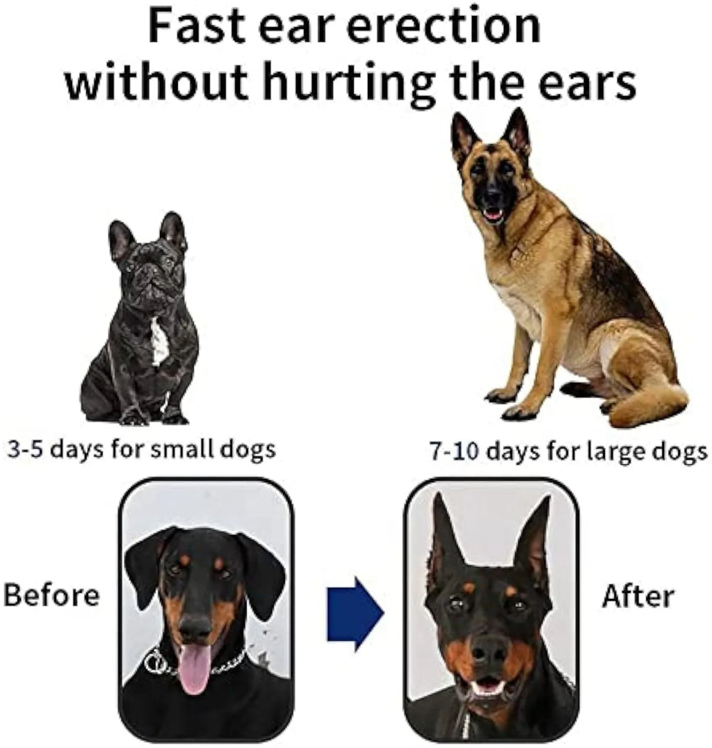 Dog ear correction support stickers with sizing options for Doberman Sheltie Corgi puppies