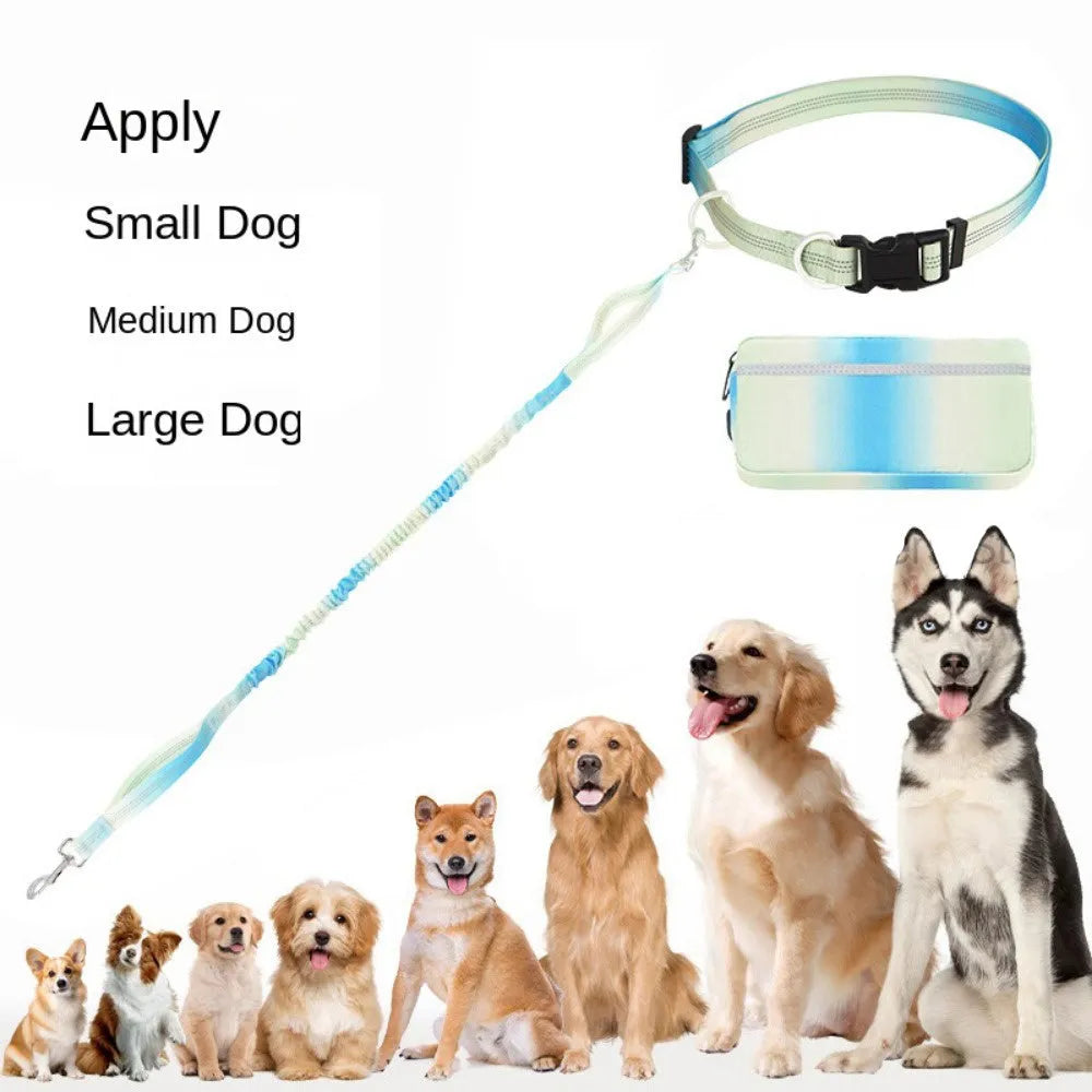Hands-free adjustable dog leash with waist belt showing blue polyester traction rope with reflective stitching