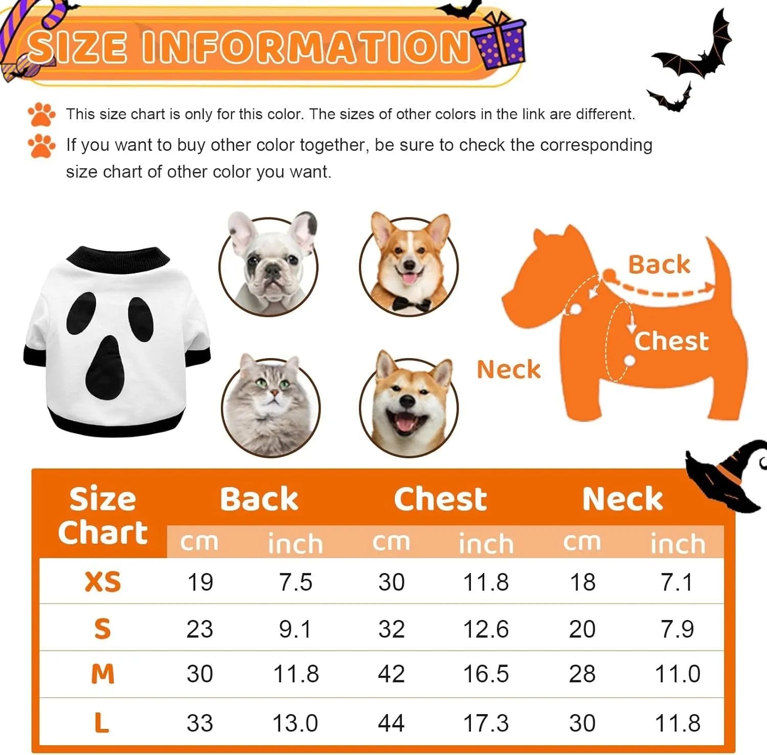 Small dog wearing an orange Halloween skeleton print sweatshirt with ribbed cuffs.