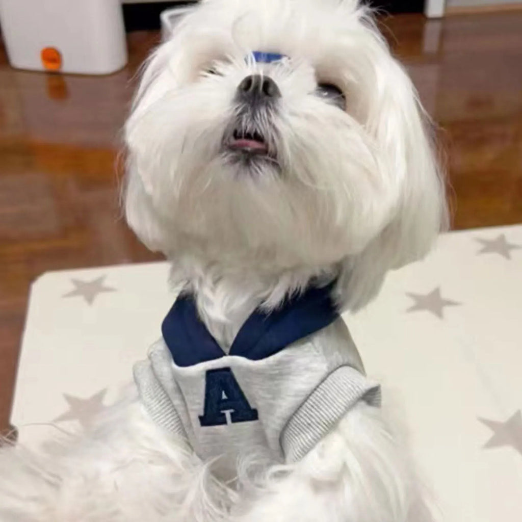 Blue and grey white slim-fit pet hoodie with reflective letters for dogs and cats