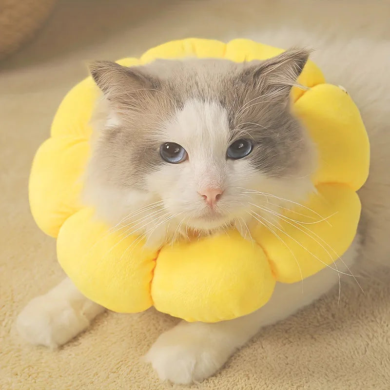 Cute sunflower shaped pet recovery collar for cats and small dogs, soft cotton, adjustable size