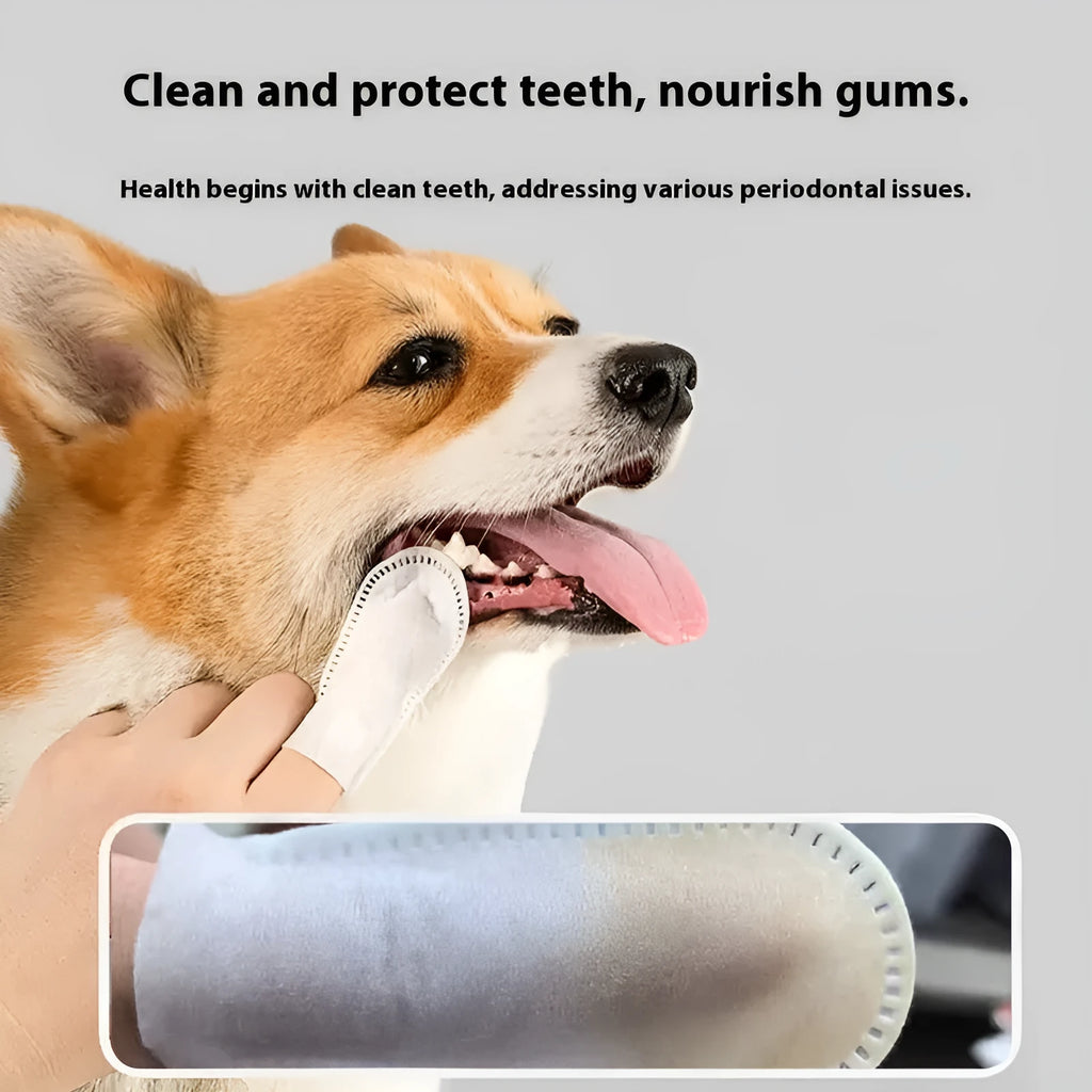 Pack of 50 white pet dental cleaning finger stalls made from non-woven fabric.