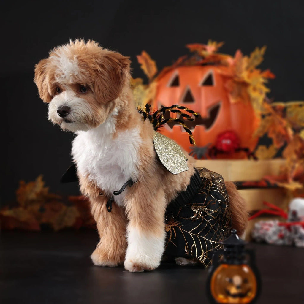 A brown polyester suit costume for a dog, shown on a pet, suitable for Halloween or parties.