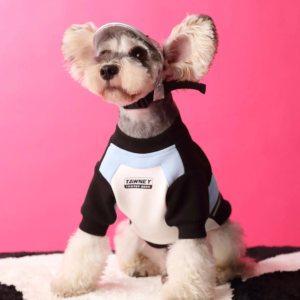 Dog clothes stitching zipper pullover sweater in blue cotton material