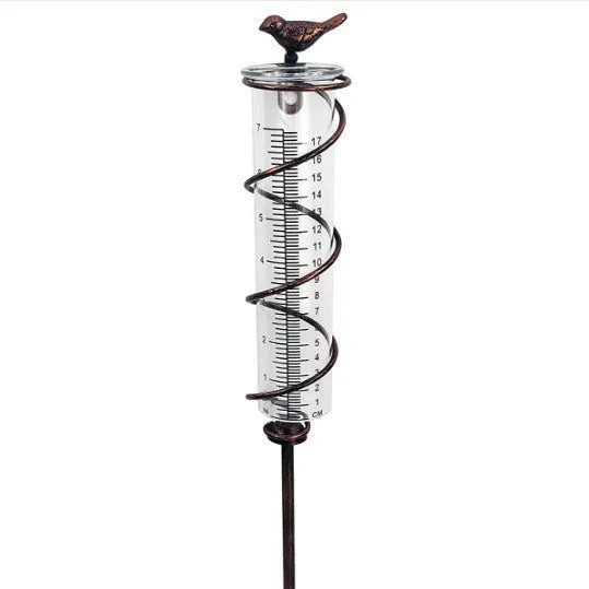 Glass rain gauge with cast iron hummingbird base for outdoor garden rainfall measurement.