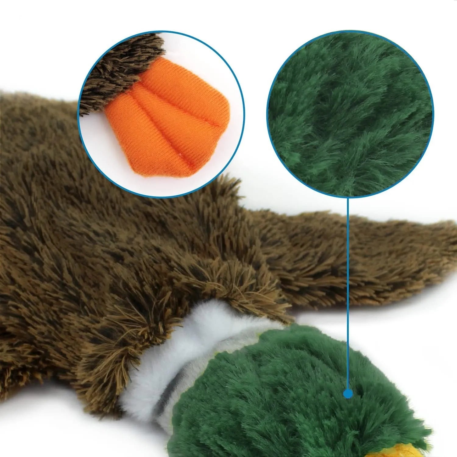 Green wild duck design stuffless dog toy with dual squeakers and bottle cavity opening