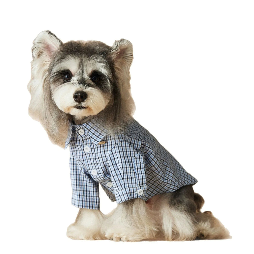 Light blue cotton plaid dog shirt for small dogs and cats, available in XS to XXL