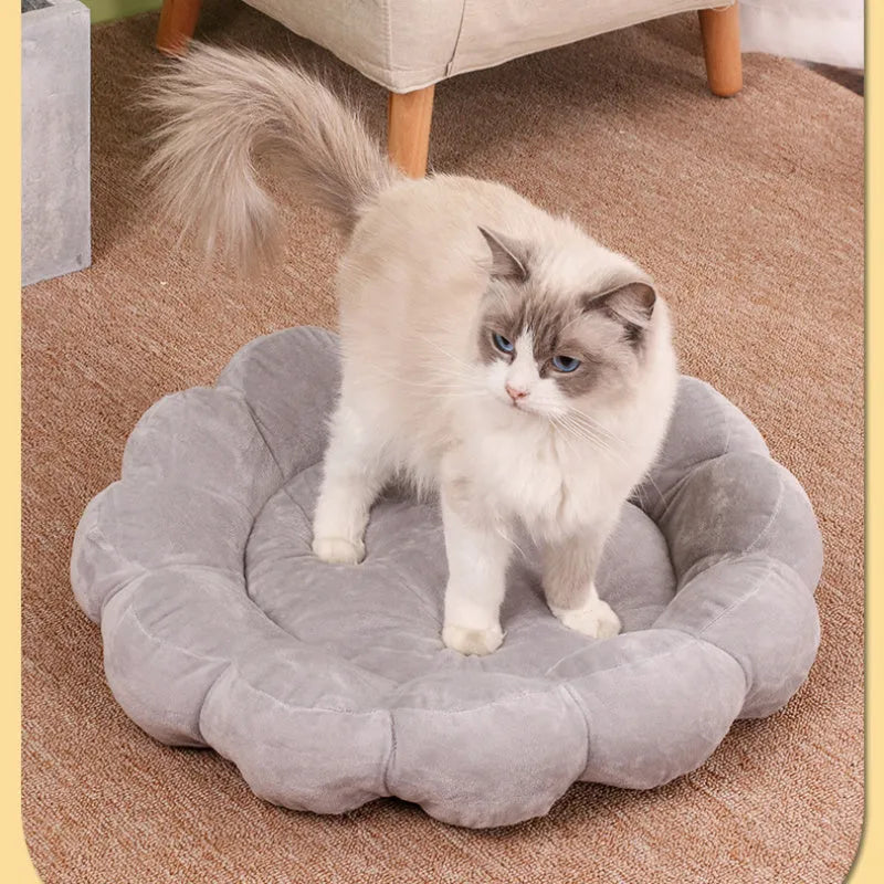 Blue half-surrounded petal-shaped pet bed for dogs and cats on a wooden floor
