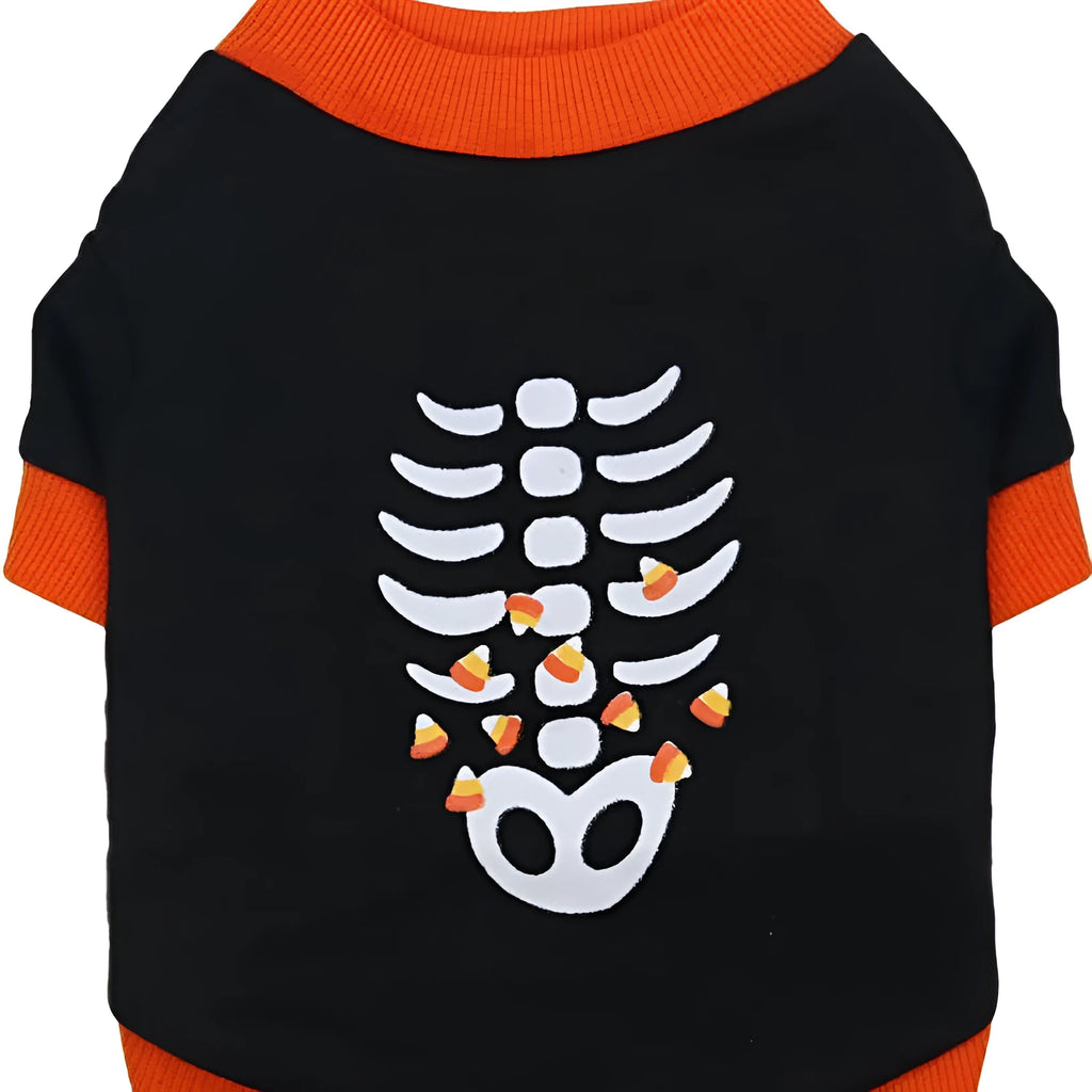 Small dog wearing an orange Halloween skeleton print sweatshirt with ribbed cuffs.