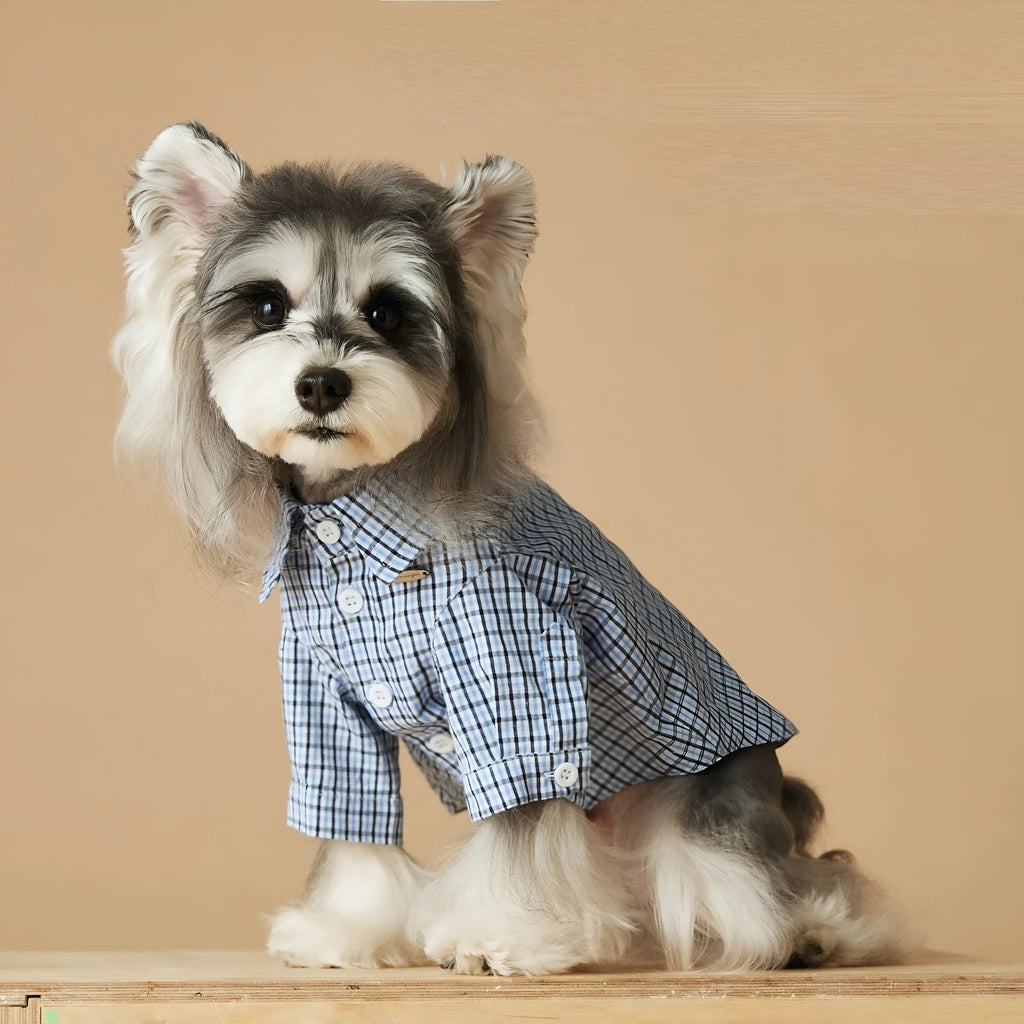 Light blue cotton plaid dog shirt for small dogs and cats, available in XS to XXL