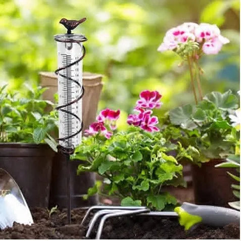 Glass rain gauge with cast iron hummingbird base for outdoor garden rainfall measurement.