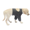 Pet front leg sleeve wrap in black on a dog's front leg, supporting healing and preventing licking