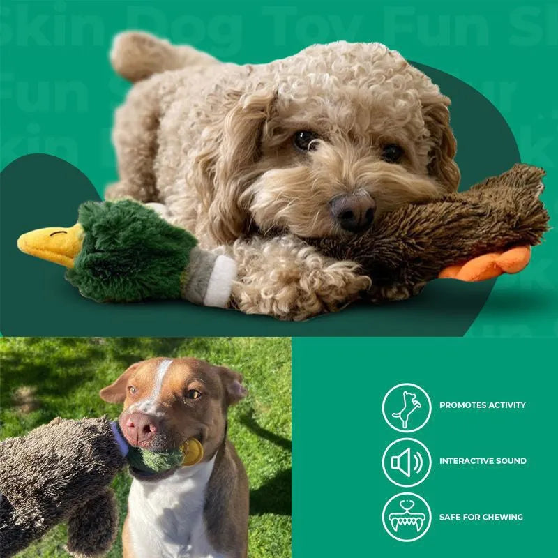 Green wild duck design stuffless dog toy with dual squeakers and bottle cavity opening