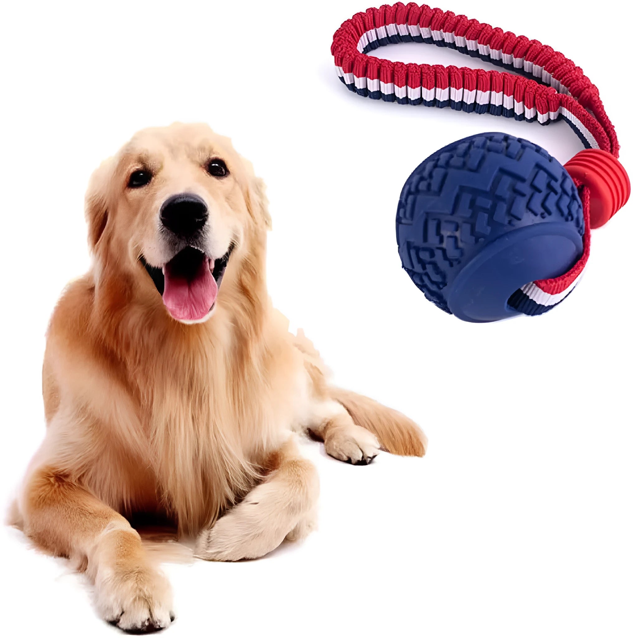 Blue rubber dog ball with rope attachment for tug-of-war and teeth cleaning