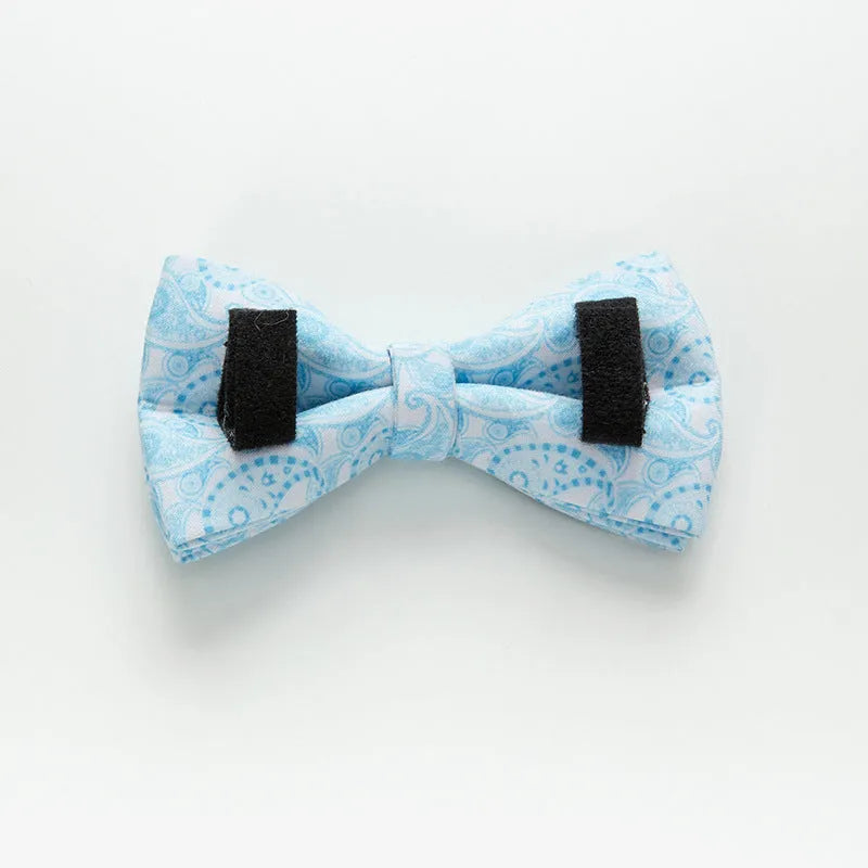 Paisley polyester dog collar with zinc alloy buckle and lettering on a white background.