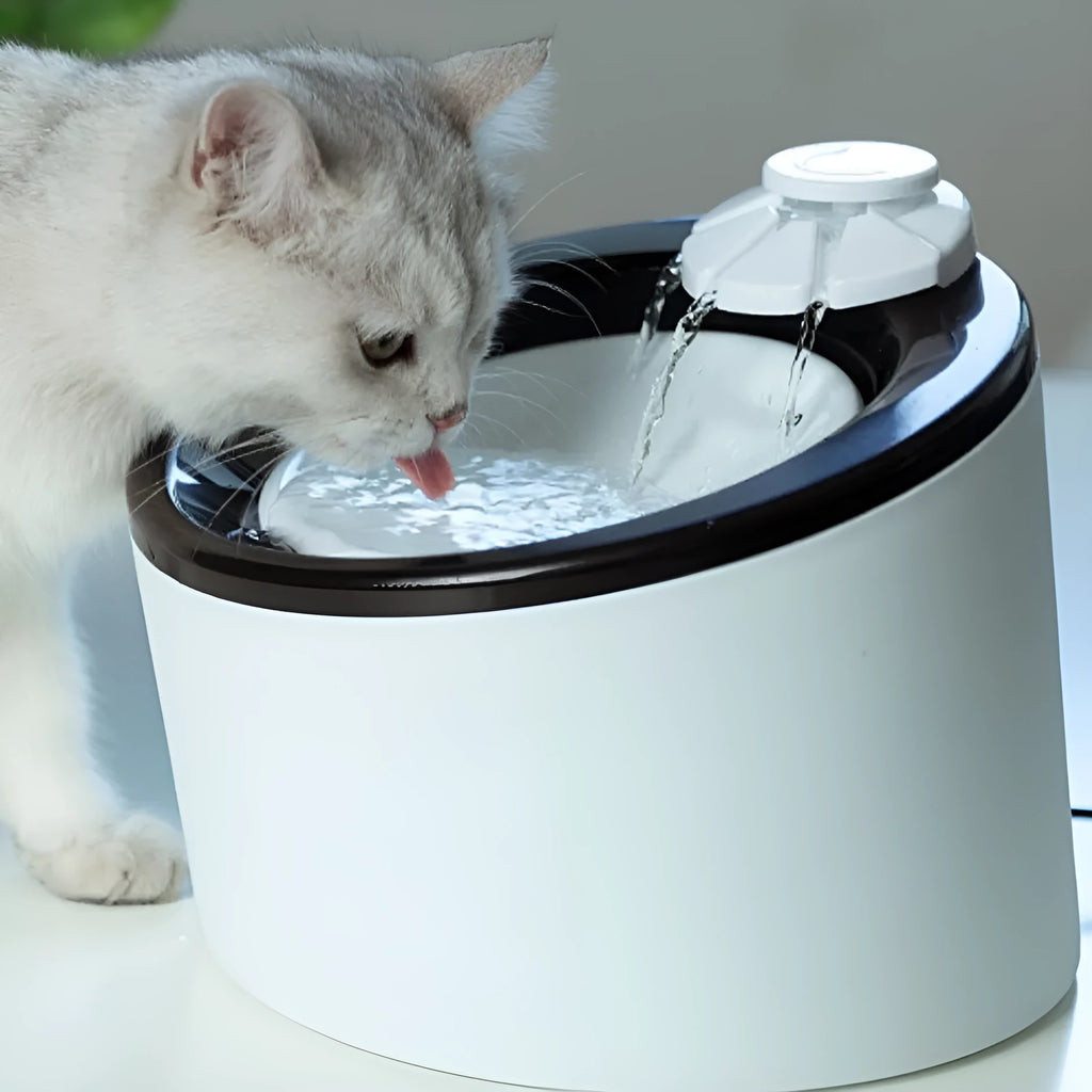 White plastic automatic drinking machine for cats and dogs with USB power cable