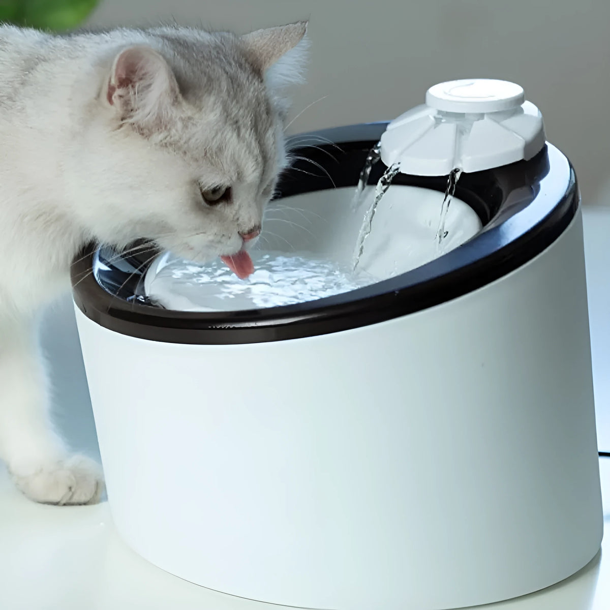 White plastic automatic drinking machine for cats and dogs with USB power cable