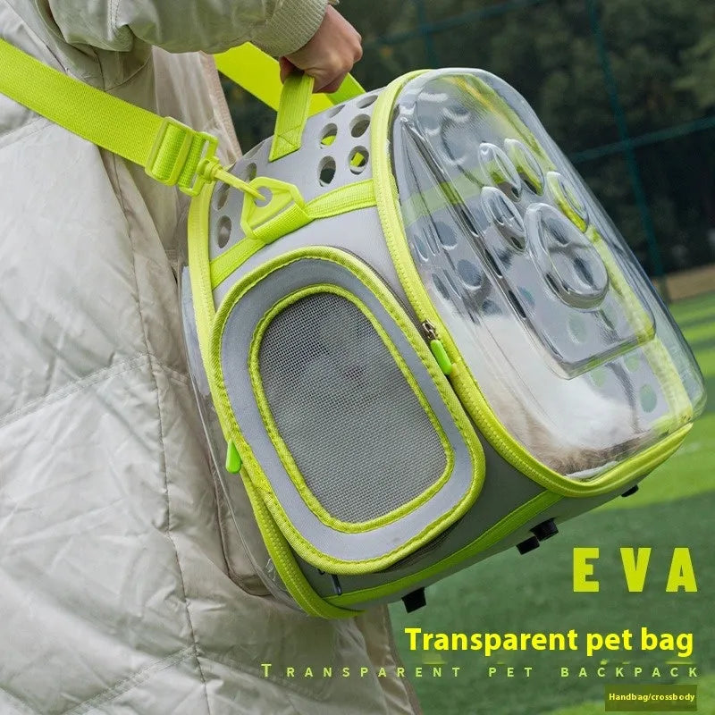 Large transparent hard-shell backpack pet carrier for cats, shown in violet colour.