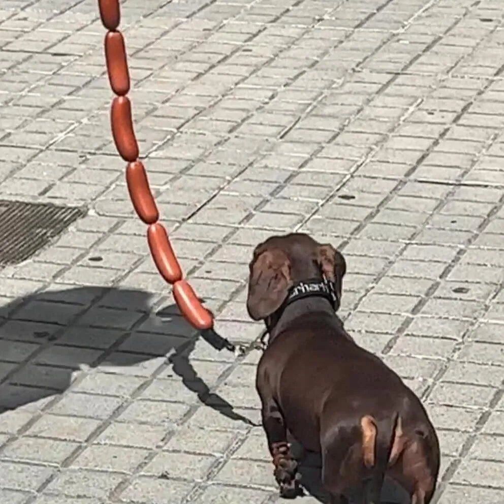 Brown pet training rope with multiple sausage sections and grip tape, measuring 108 cm in total length