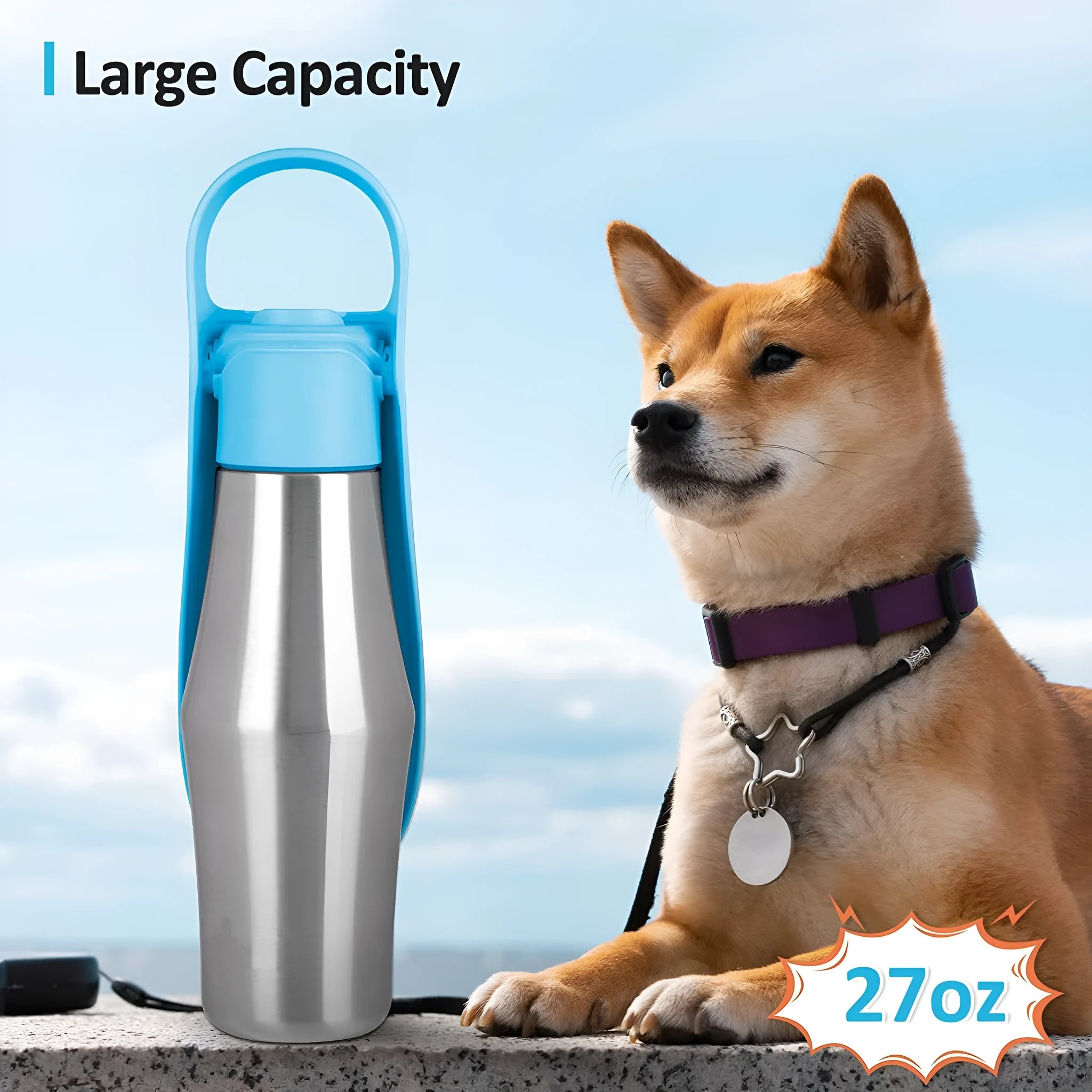Portable 750ml stainless steel dog water bottle with green silicone foldable bowl and carrying handle on grass