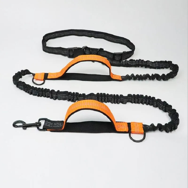 Polyester pet running lead extended, showing adjustable waist belt and clip, in fluorescent green colour.