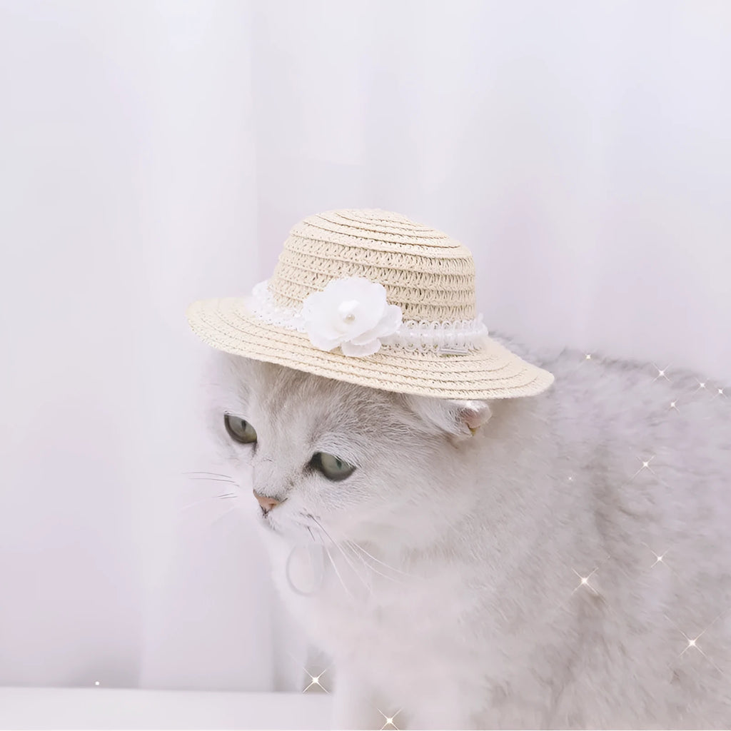 Handmade adjustable bowknot paper hat for dogs and cats in cartoon style