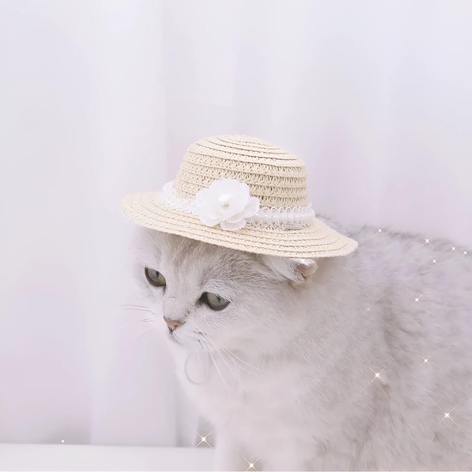 Handmade adjustable bowknot paper hat for dogs and cats in cartoon style