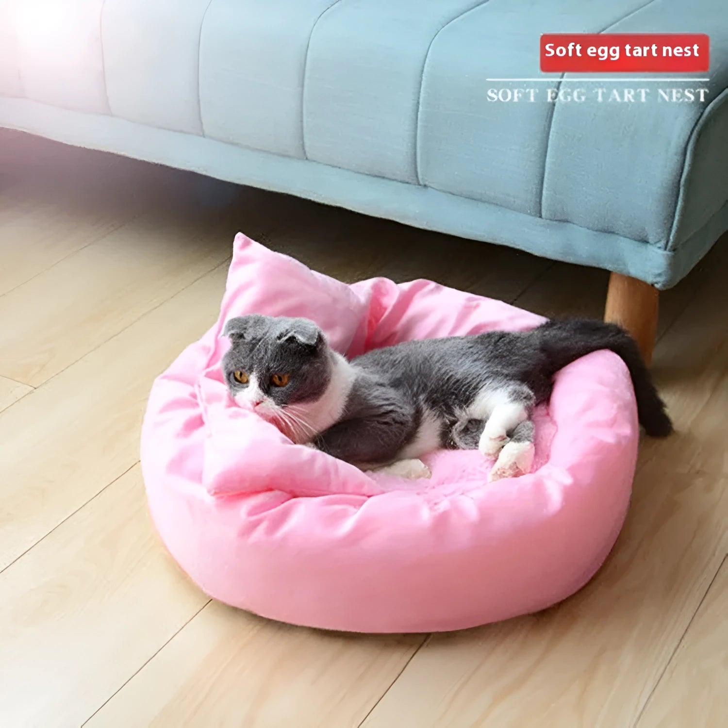 PP cotton filled dog bed in light grey with optional pillow, showing soft texture and round shape