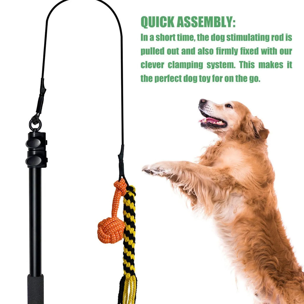 Black telescopic aluminium alloy dog teasing rod extended to 102cm with two bite ropes and one ball