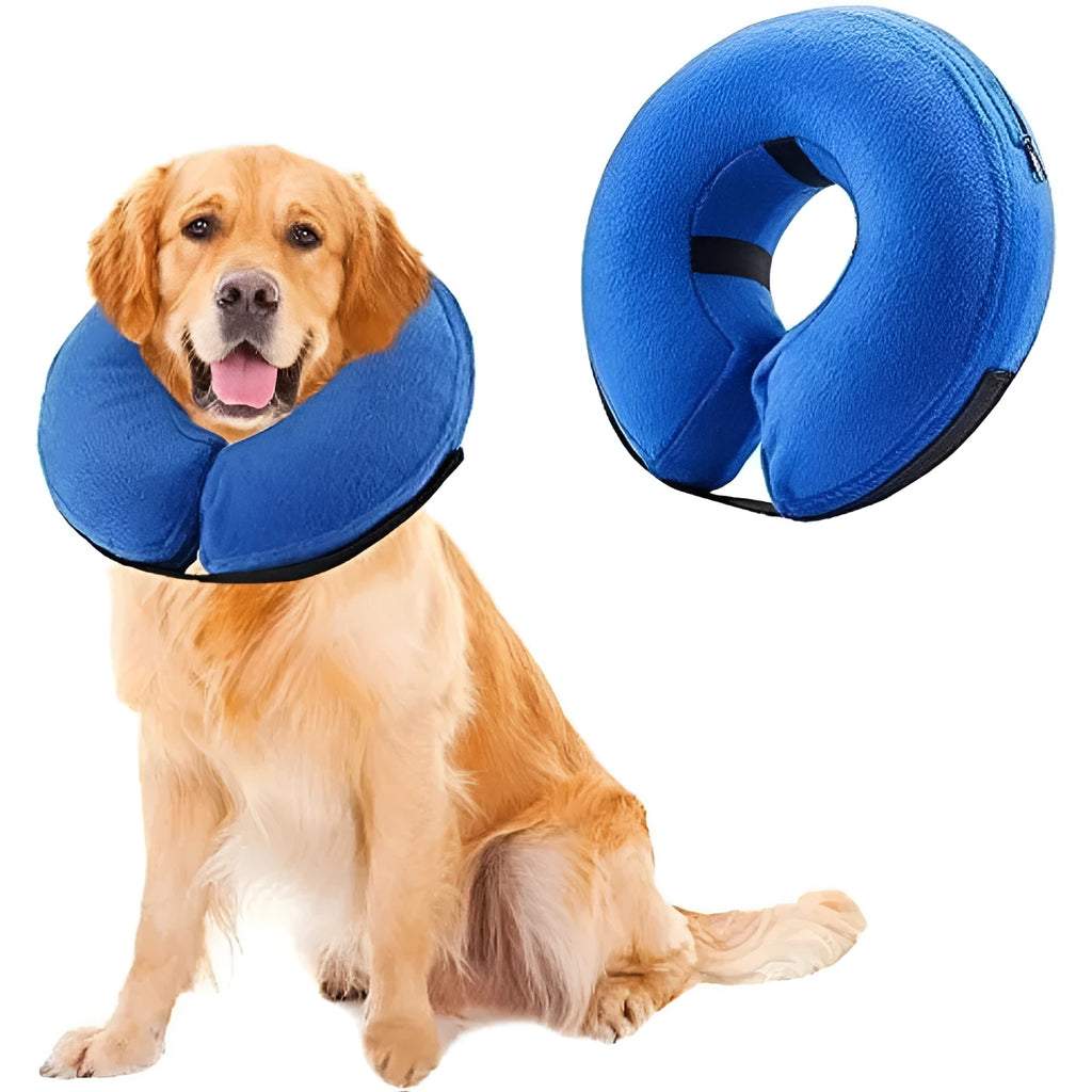 Blue inflatable dog recovery collar with adjustable strap, shown on a model for size.