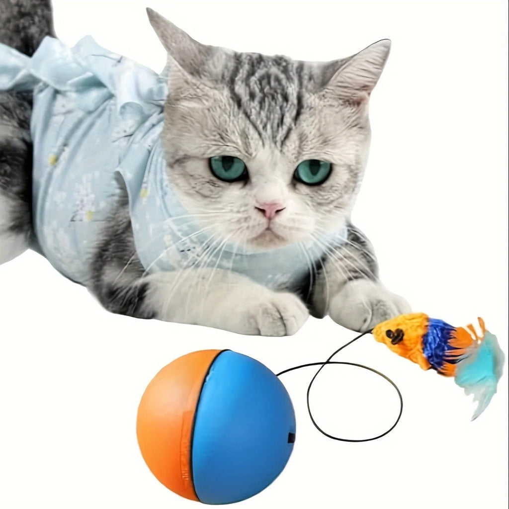 Blue and orange interactive cat toy with ball and separate plush mouse components